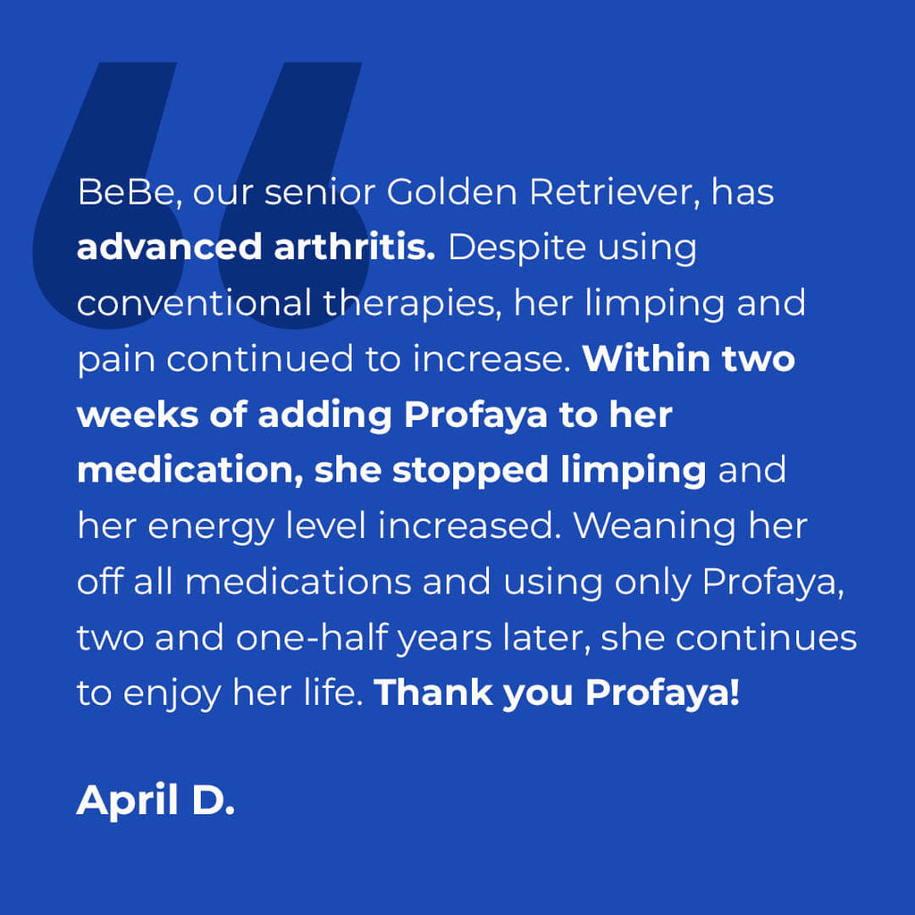 Profaya™️